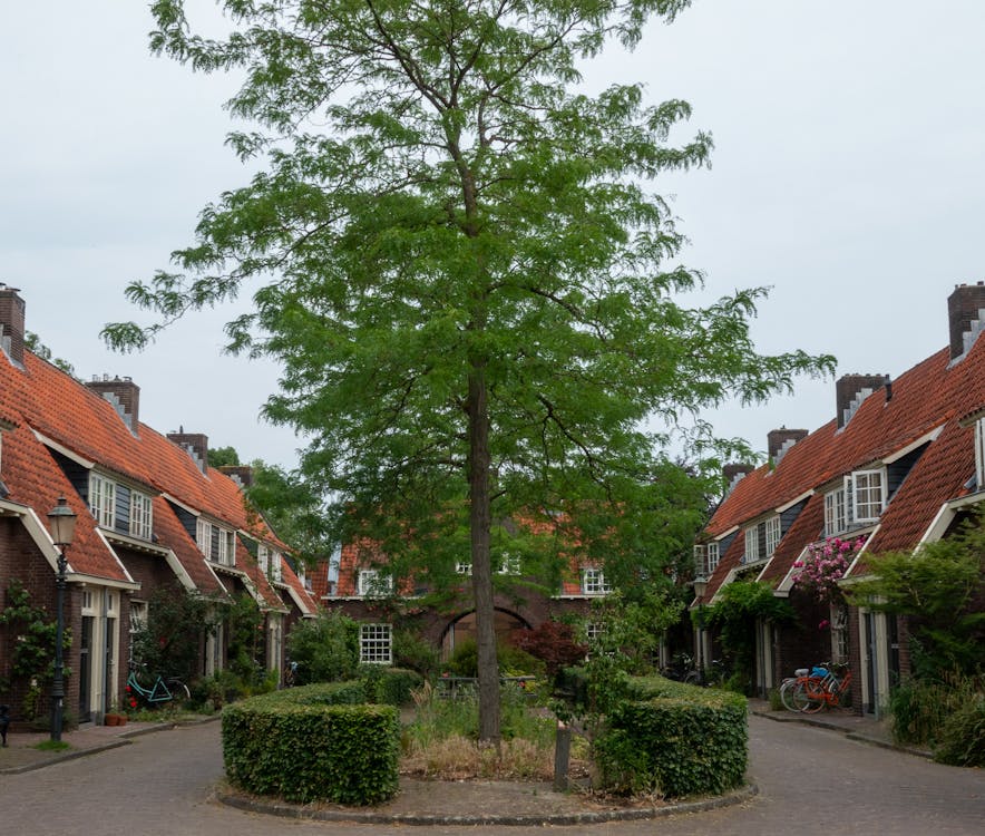 aanhuurmakelaar amersfoort